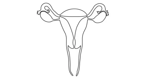 Example of an abstract vagina