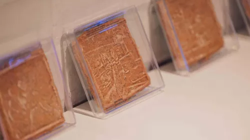 Es sind drei Kekse mit Druck in durchsichtigen Plastikschalen zu sehen.