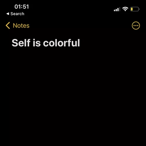 Self is Colorful